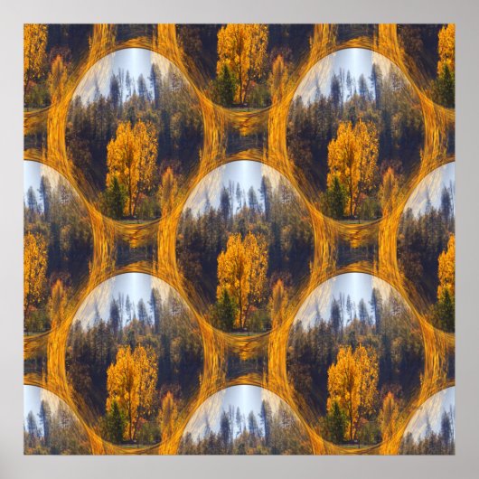 Kleuren in Hayfork... Poster (Voorkant)