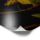 Kleuren in het meer foto afdruk (Hoek)