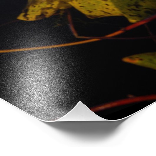 Kleuren in het meer foto afdruk (Hoek)