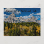 Kleuren in het natuurpark Grand Teton Briefkaart (Voorkant)