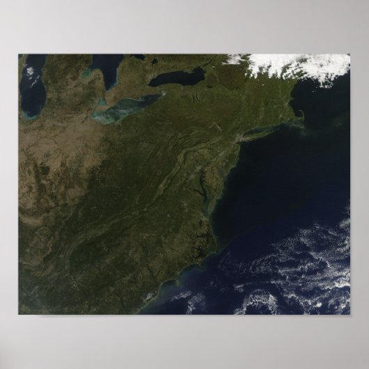 Kleuren in het noordoosten van de Verenigde Staten Poster (Voorkant)