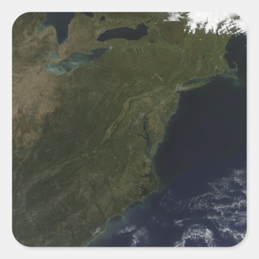 Kleuren in het noordoosten van de Verenigde Staten Vierkante Sticker (Voorkant)