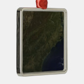 Kleuren in het zuidoosten van de Verenigde Staten Metalen Ornament (Rechts)