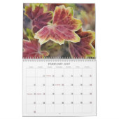 Kleuren in Natuur kunstkalender Kalender (Feb 2027)