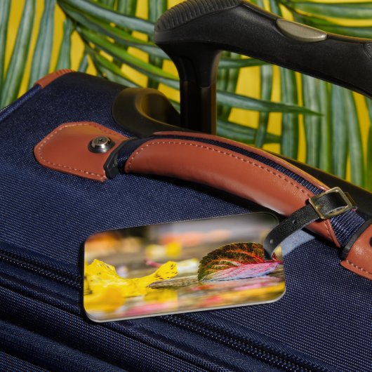 Kleuren invallen bagagelabel (Voorkant Insitu 3)