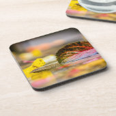 Kleuren invallen bier onderzetter (Linkerzijde)