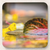 Kleuren invallen bier onderzetter (Voorkant)