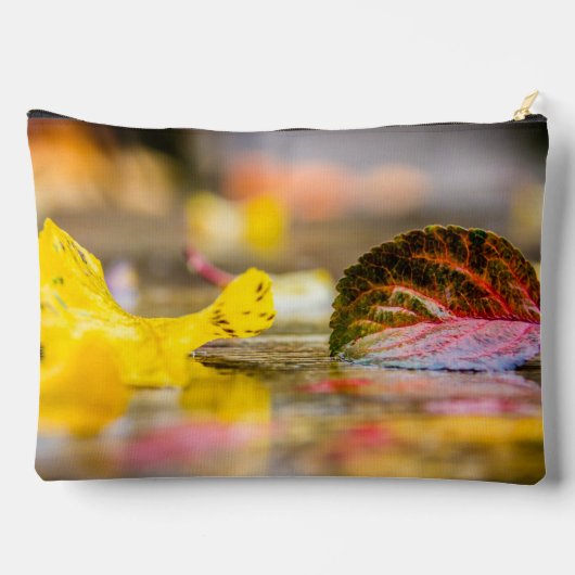 Kleuren invallen etui (Achterkant)