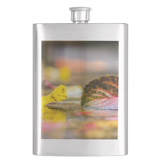 Kleuren invallen flacon (Voorkant)