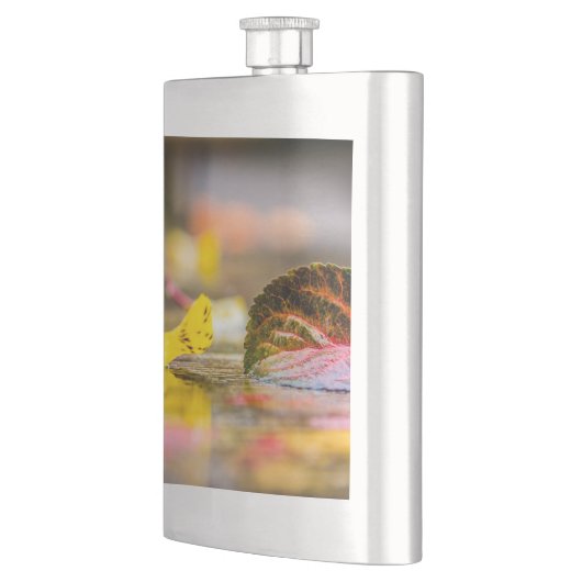 Kleuren invallen flacon (Links)