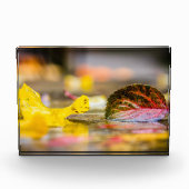 Kleuren invallen fotoblokken (Voorkant)