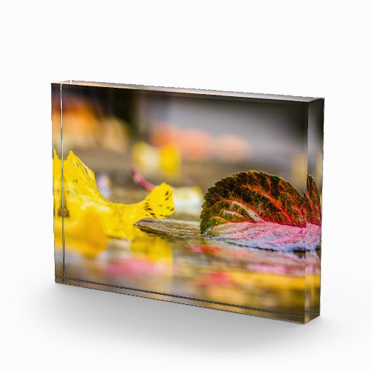 Kleuren invallen fotoblokken (Rechts)