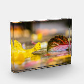 Kleuren invallen fotoblokken (Links)