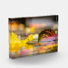 Kleuren invallen fotoblokken