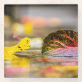 Kleuren invallen glazen onderzetter (Voorkant)