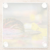 Kleuren invallen glazen onderzetter (Achterkant)