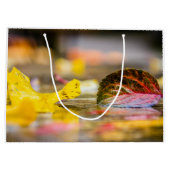 Kleuren invallen groot cadeauzakje (Achterkant)