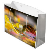 Kleuren invallen groot cadeauzakje (Achterkant Gekanteld)