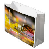 Kleuren invallen groot cadeauzakje (Voorkant Gekanteld)