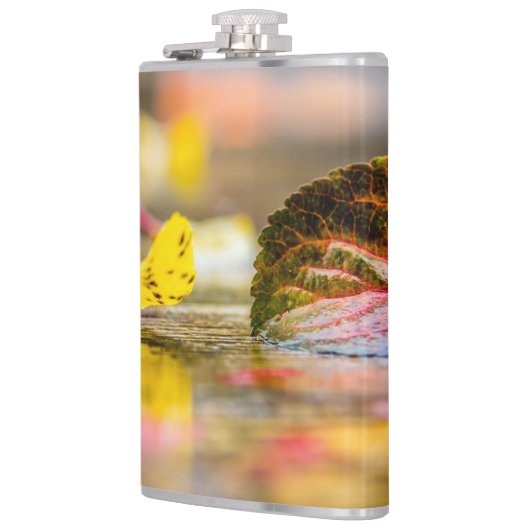 Kleuren invallen heupfles (Links)