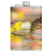 Kleuren invallen heupfles (Voorkant)