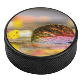 Kleuren invallen hockey puck