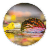 Kleuren invallen keramische knop (Voorkant)