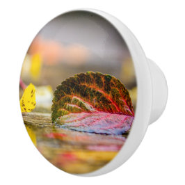 Kleuren invallen keramische knop