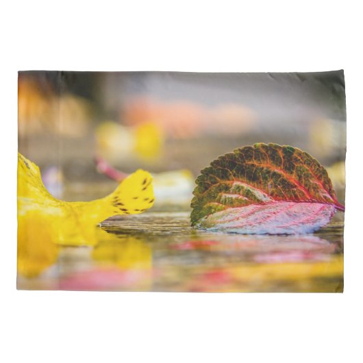 Kleuren invallen kussensloop (Achterkant)