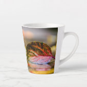 Kleuren invallen latte mok (Rechts)