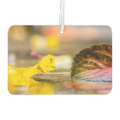 Kleuren invallen luchtverfrisser (Achterkant)