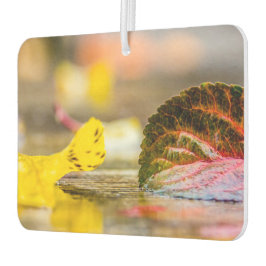 Kleuren invallen luchtverfrisser