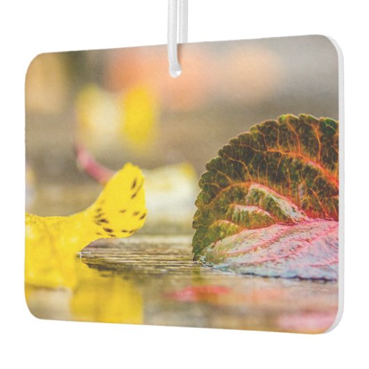 Kleuren invallen luchtverfrisser (Links)