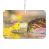 Kleuren invallen luchtverfrisser (Voorkant)