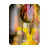 Kleuren invallen magneet (Verticaal)