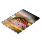 Kleuren invallen notitieboek (Linkerzijde)