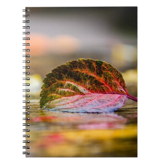 Kleuren invallen notitieboek (Voorkant)