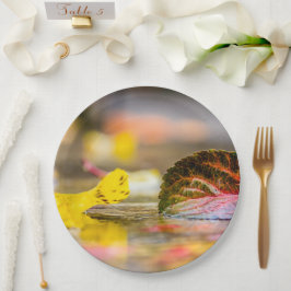 Kleuren invallen papieren bordje