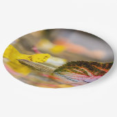 Kleuren invallen papieren bordje (Gekanteld)