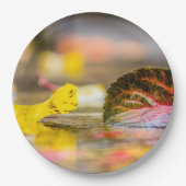 Kleuren invallen papieren bordje (Voorkant)