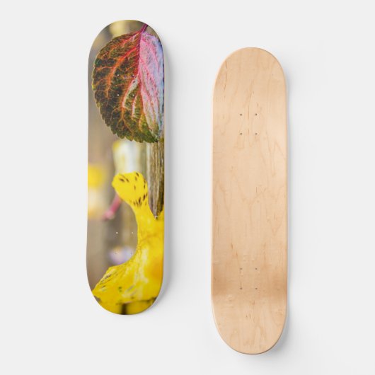 Kleuren invallen persoonlijk skateboard (Voorkant)