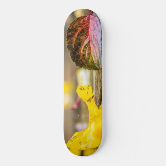 Kleuren invallen persoonlijk skateboard (Voorkant)