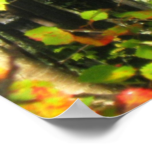 Kleuren invallen poster (Hoek)