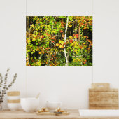 Kleuren invallen poster (Keuken)