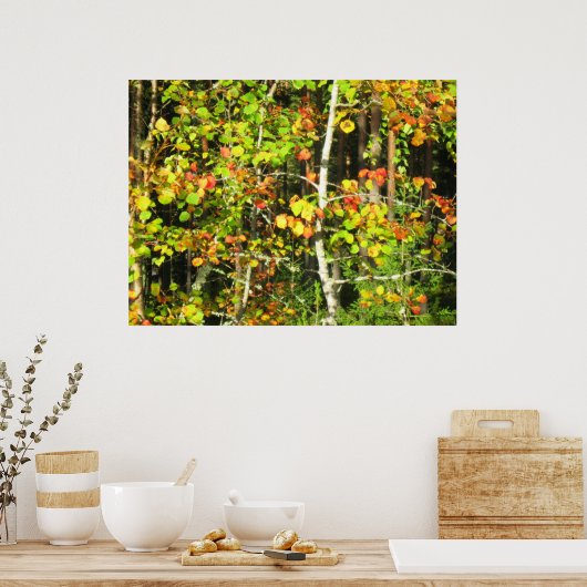 Kleuren invallen poster (Keuken)