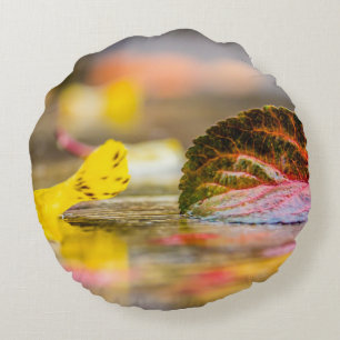 Kleuren invallen rond kussen