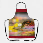 Kleuren invallen schort (Voorkant)