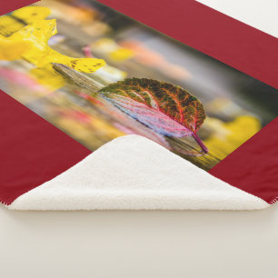 Kleuren invallen sherpa deken