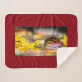 Kleuren invallen sherpa deken (Voorkant (horizontaal))