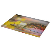 Kleuren invallen snijplank (Hoek)